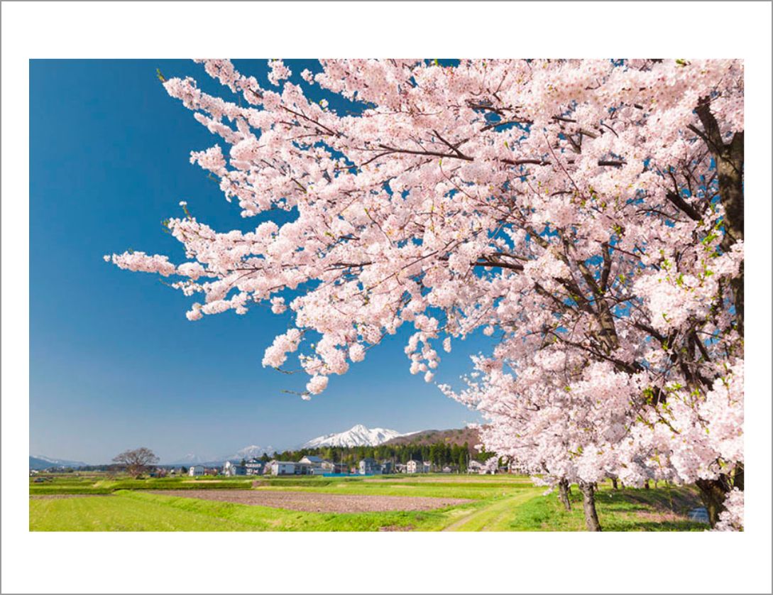 美しい新潟の風景
