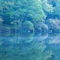 新潟の湖沼・潟