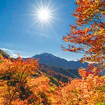 新潟の紅葉